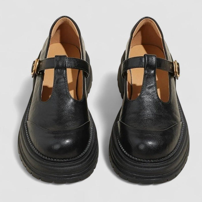 Women's T-Strap Mary Jane Shoes with Chunky Platform Sole